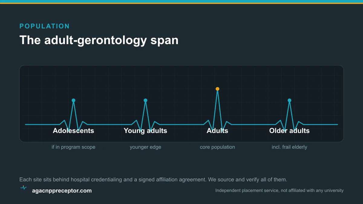 Diagram of the adult-gerontology span with the adult segment highlighted