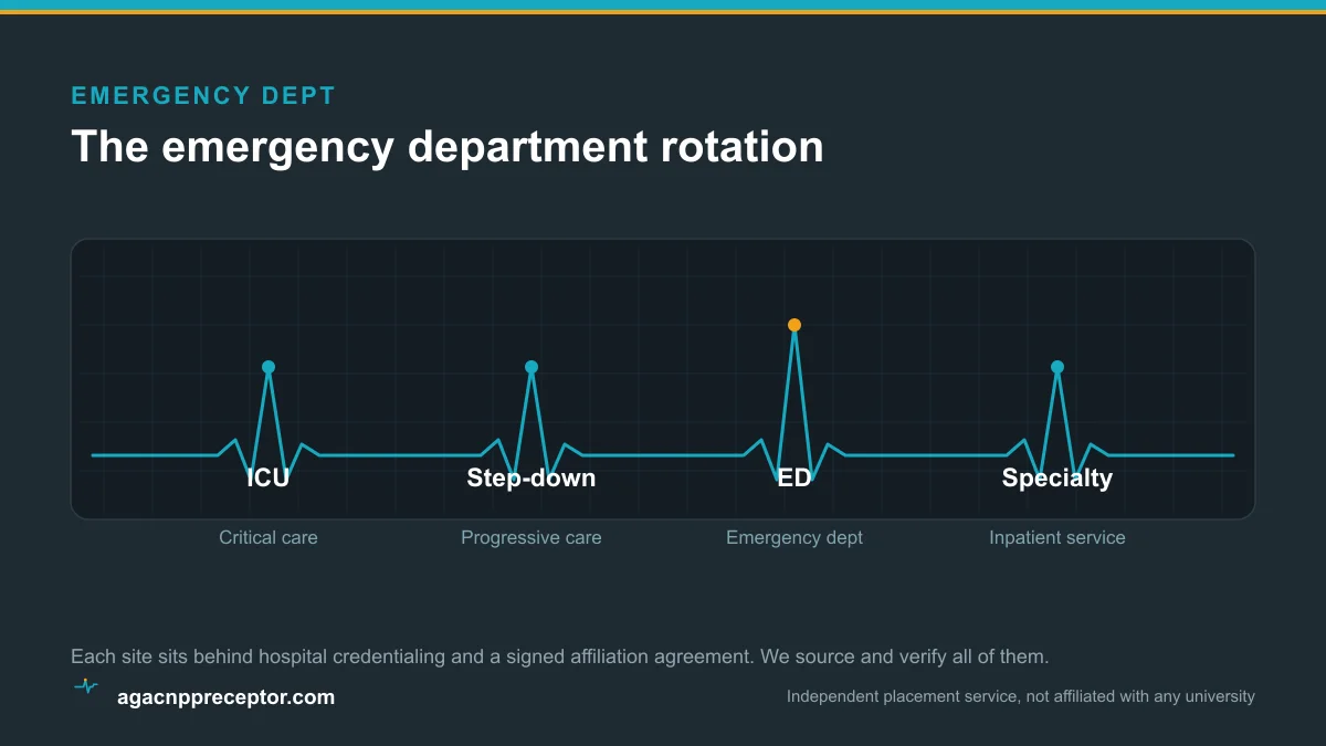 Vitals-waveform diagram of the AGACNP acute trace with the emergency-department peak raised