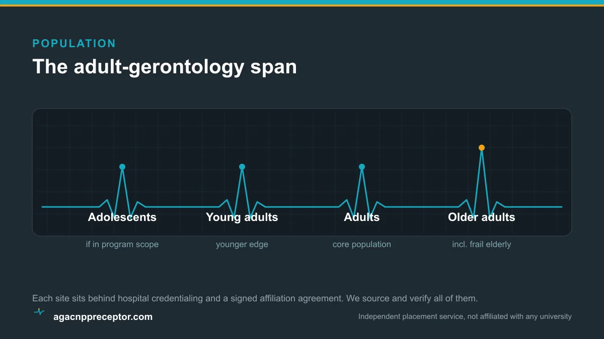Diagram of the adult-gerontology span with the older-adult segment highlighted